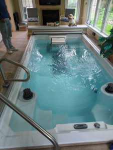 endless pool spa in a leisure room